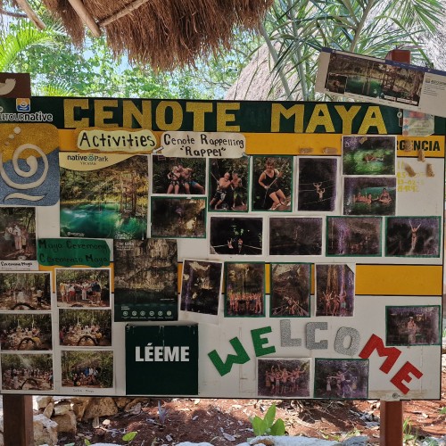 Cenote Maya Native Park: Swim, Snorkel & Zipline in a Cave