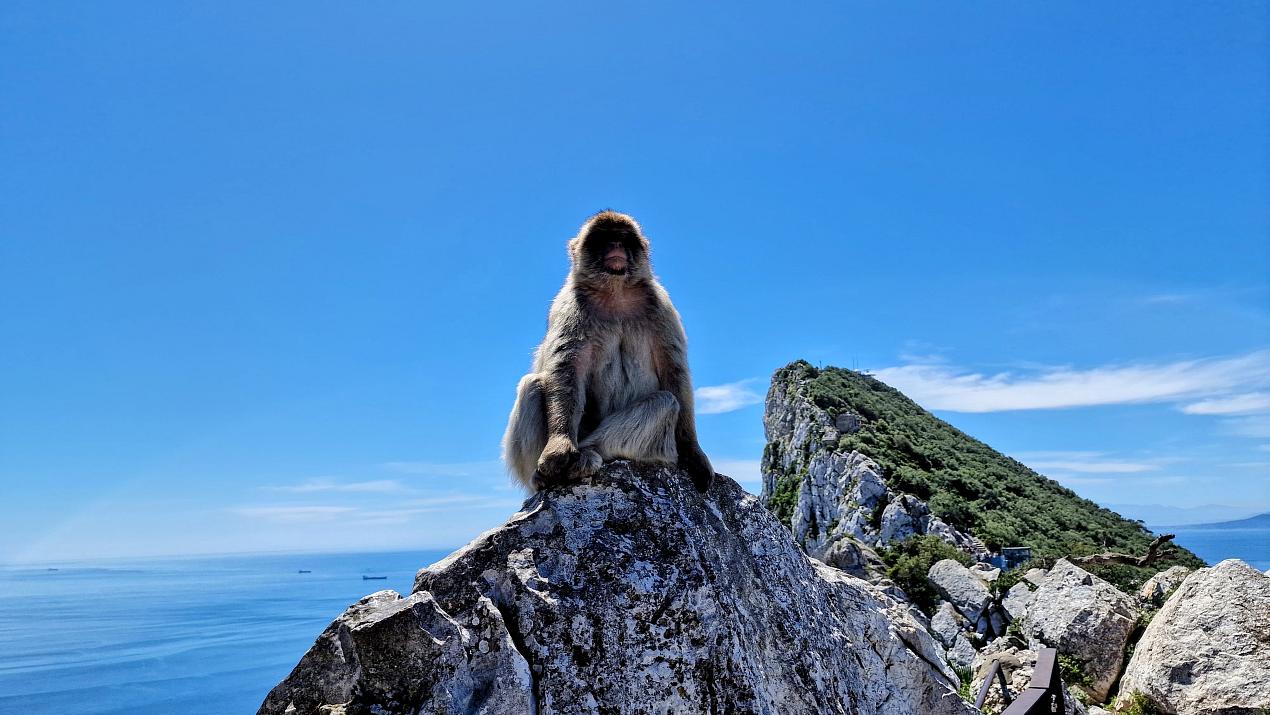 How to get from Málaga to Gibraltar