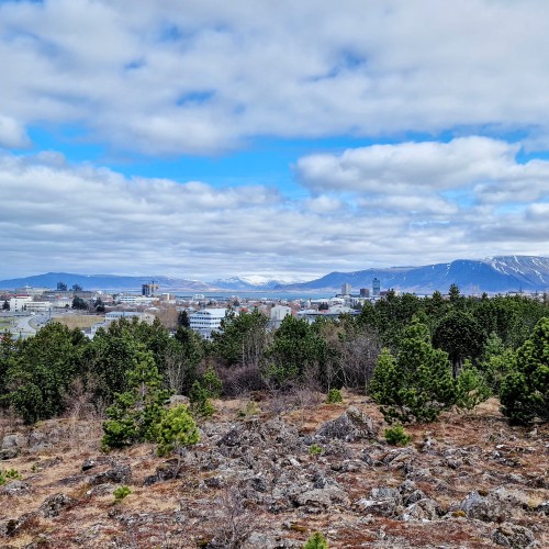 What to See in Reykjavik: 15 Tips