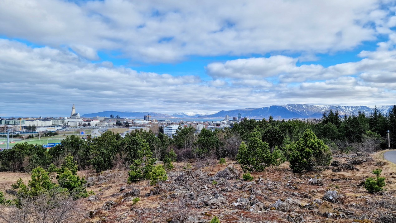 What to See in Reykjavik: 15 Tips